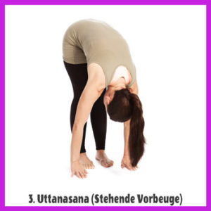 Yoga Sonnengruß - Uttanasana / Stehende Vorbeuge